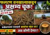 *एका बाजूला “पर्यावरण वाचवा”चे संदेश दिले जात असताना दुसऱ्या बाजूला वाढलेली झाडे तोडली जात असल्याने प्रशासनाची दुहेरी भूमिका उघड होत असल्याची भावना व्यक्त केली जात आहे. झाडे लावण्यापेक्षा* *ती जपणे अधिक महत्त्वाचे असून, फलटणमधील ही घटना पर्यावरण व्यवस्थेवर मोठे प्रश्नचिन्ह निर्माण करणारी ठरत आहे*.