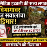 *झाडांची कत्तल लपवण्यासाठी आकड्यांचा खेळ*
