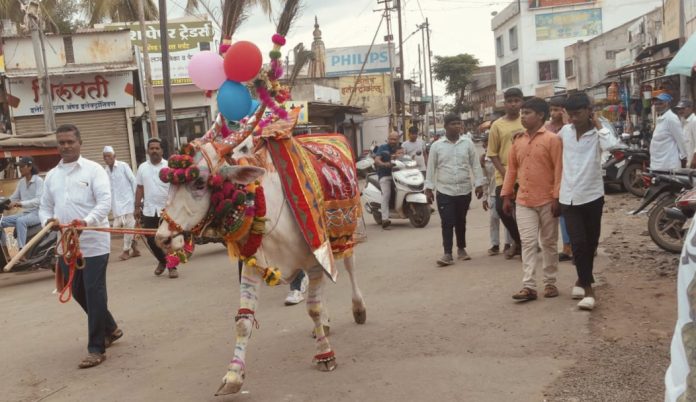 *फलटणमध्ये बेंदूर सण उत्साहात साजरा; भव्य मिरवणुकीने वेधले लक्ष*