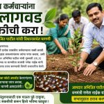 *शासकीय कर्मचाऱ्यांना वृक्षलागवड सक्तीची करा* *आमदार अभिजित पाटील यांची विधानसभेत मागणी*