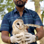 *चायनीज मांजाच्या विळख्यात सापडलेल्या घुबडाला मुधोजी क्लबच्या बास्केटबॉल टीमकडून जीवनदान*