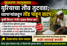*फलटण तालुक्यात युरियाचा तीव्र तुटवडा; व्यापाऱ्यांकडून तोंड पाहून वाटप*? *कृषी विभाग गंभीर दखल घेणार का? शेतकऱ्यांचा संतप्त सवाल* *