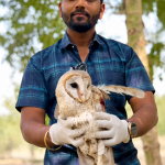*चायनीज मांजाच्या विळख्यात सापडलेल्या घुबडाला मुधोजी क्लबच्या बास्केटबॉल टीमकडून जीवनदान*