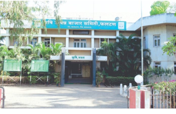 फलटण कृषी  उत्पन्न बाजार समितीच्या मुख्य बाजारात मंगळवारी भरलेल्या लिलावात कांद्याच्या दरात जोरदार तेजी पाहायला मिळाली. बाजारात १५१४ पिशव्यांची म्हणजेच एकूण ७५७ क्विंटल कांद्याची आवक झाली असून, कांद्याला प्रतिक्विंटल कमाल ४८०० रुपये इतका चांगला भाव मिळाला आहे. कांदा बाजारात तेजीची